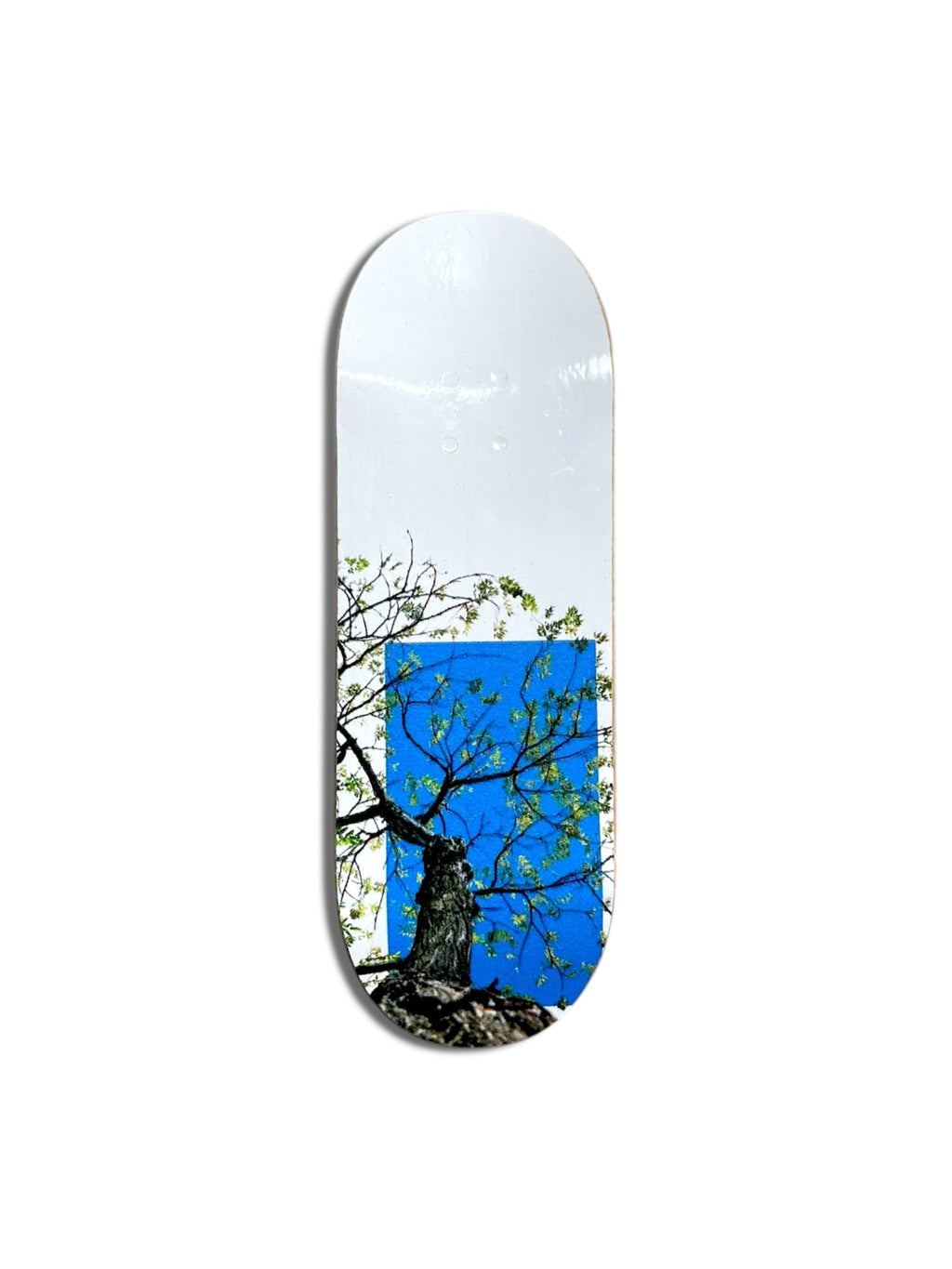 "Tree"
